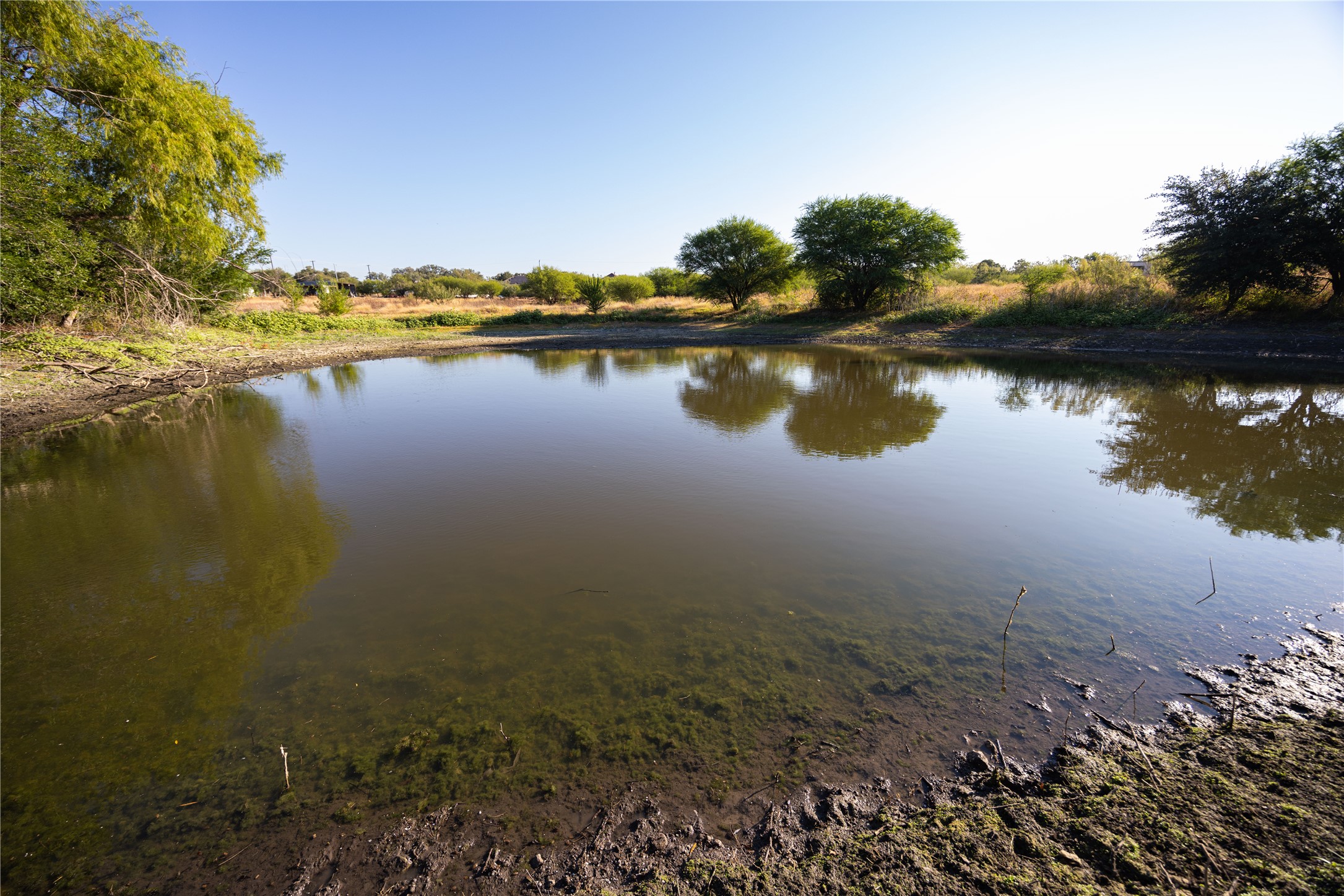 6868 Pfeil Road Schertz, TX 78154 - Photo 4 of 16 When full again, great place to fish and swim