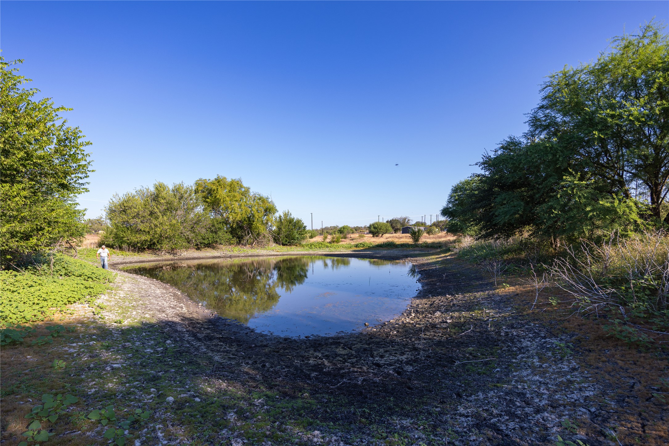 6868 Pfeil Road Schertz, TX 78154 - Photo 5 of 16