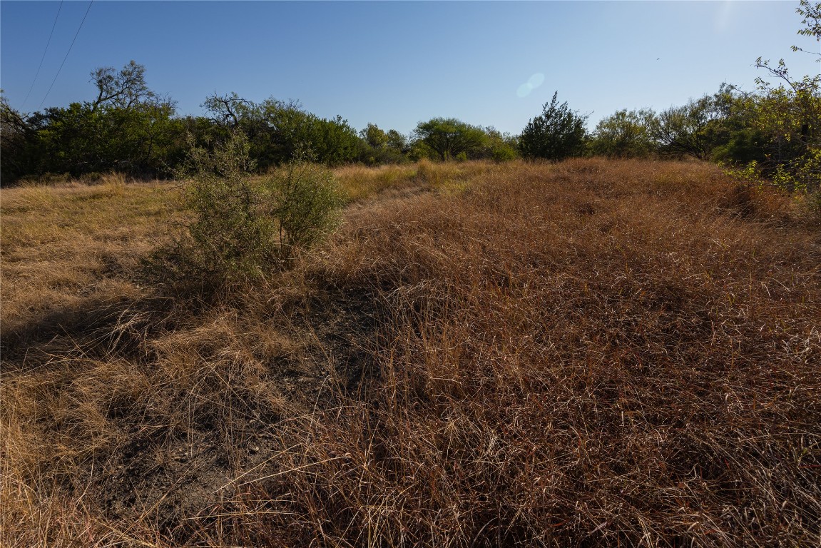 6868 Pfeil Road Schertz, TX 78154 - Photo 7 of 16