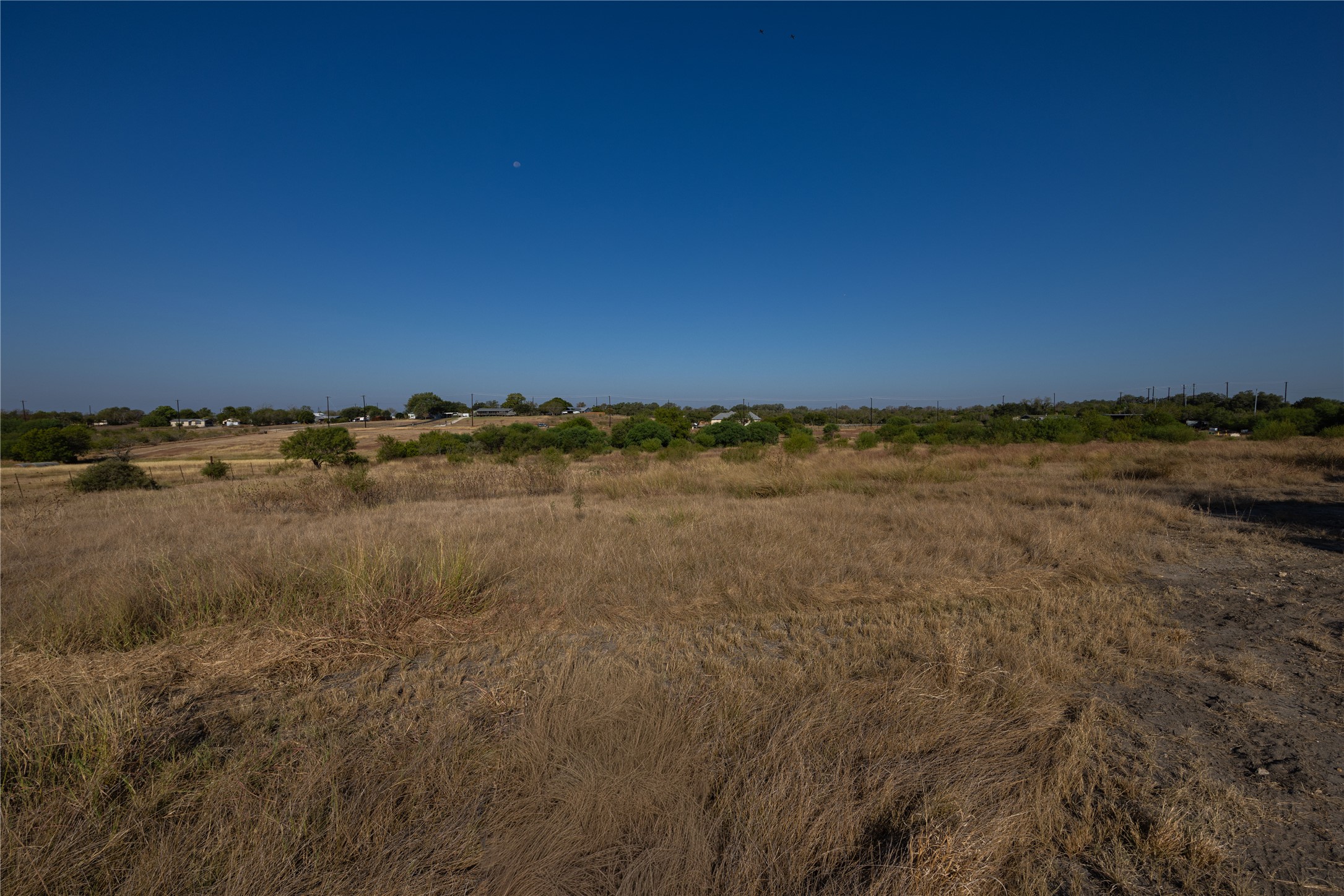 6868 Pfeil Road Schertz, TX 78154 - Photo 8 of 16 Just Below Trees on East Side, Looking Toward Gate
