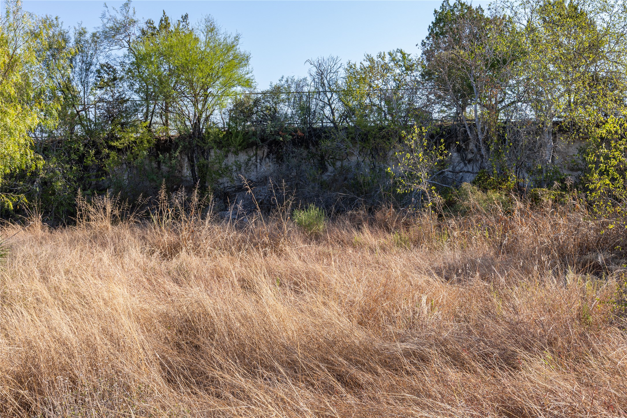 6868 Pfeil Road Schertz, TX 78154 - Photo 9 of 16 Bluff Marks End of Property on East