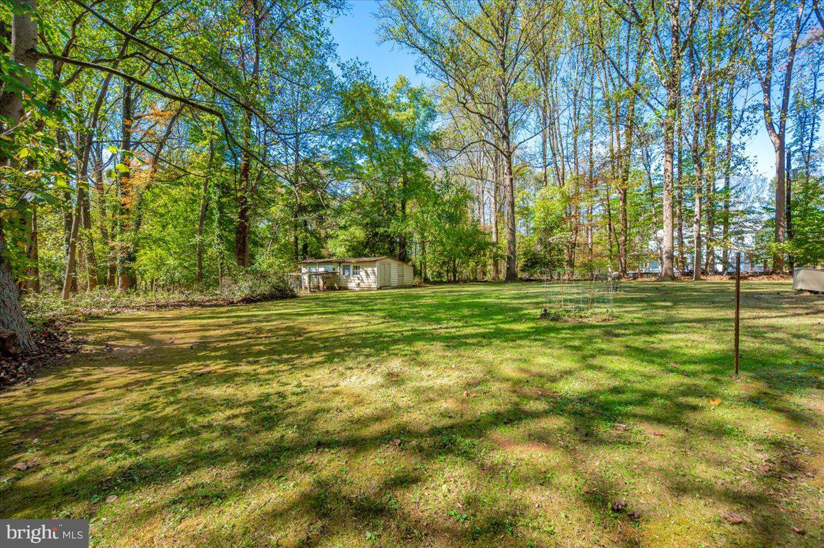 16212 Old Orchard Road Silver Spring, MD 20905 - Photo 11 of 46