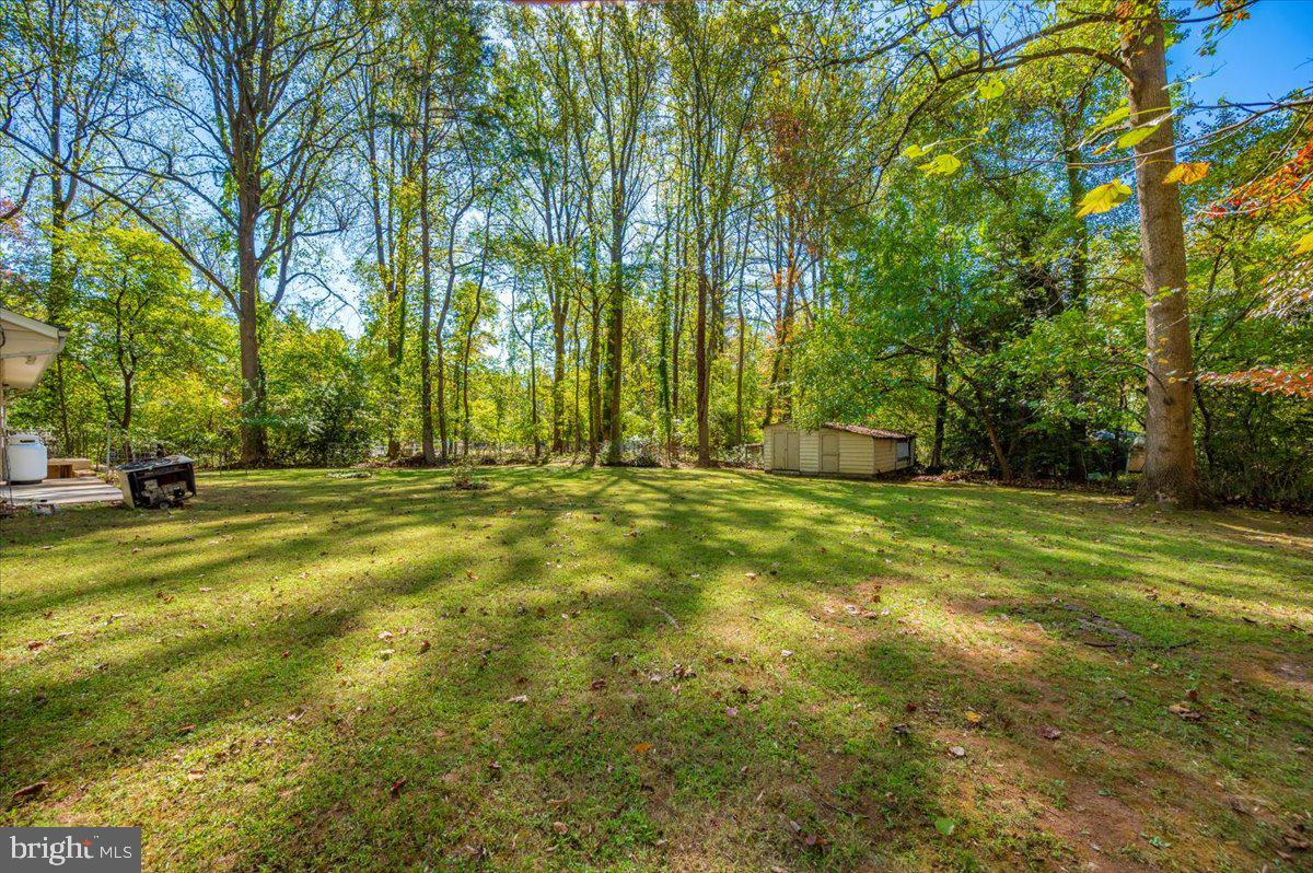 16212 Old Orchard Road Silver Spring, MD 20905 - Photo 13 of 46
