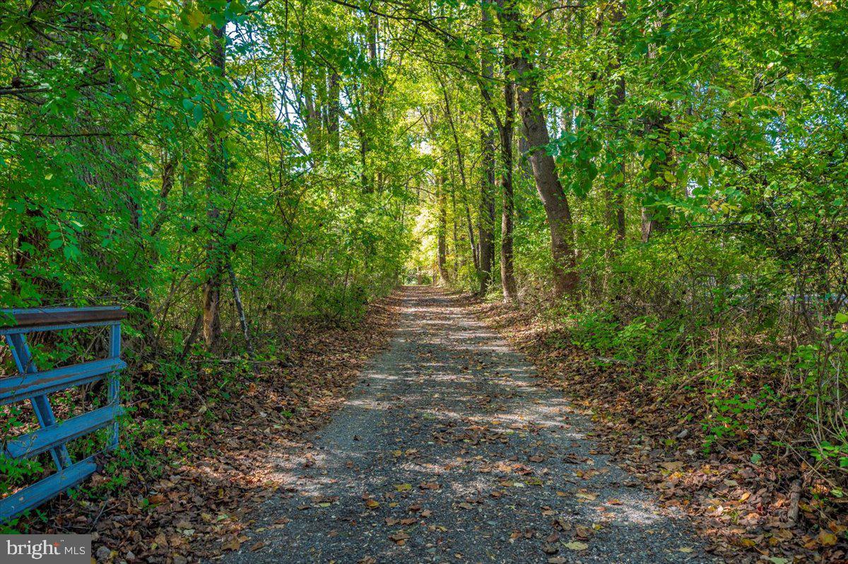 16212 Old Orchard Road Silver Spring, MD 20905 - Photo 2 of 46
