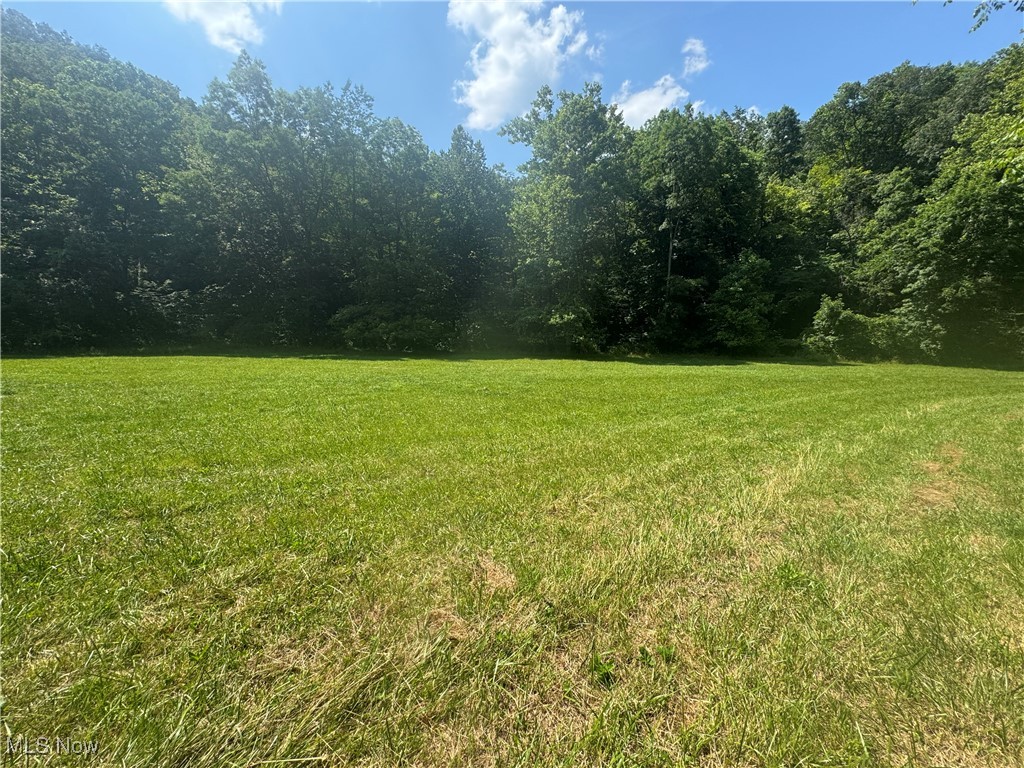 Lot 2 County Road New Matamoras, OH 45767 - Photo 1 of 18 Gallery Image 1