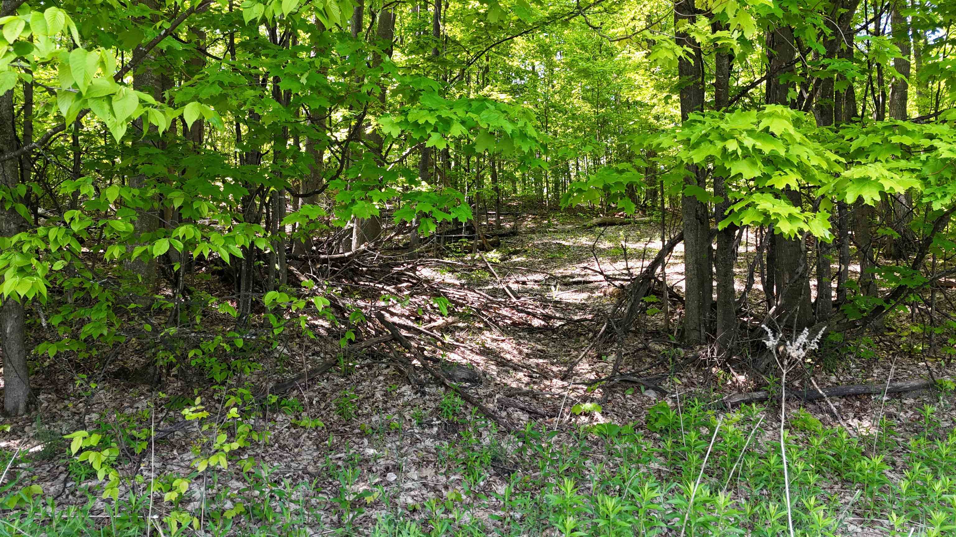 North Jacobson Road Northport, MI 49670 - Photo 10 of 12