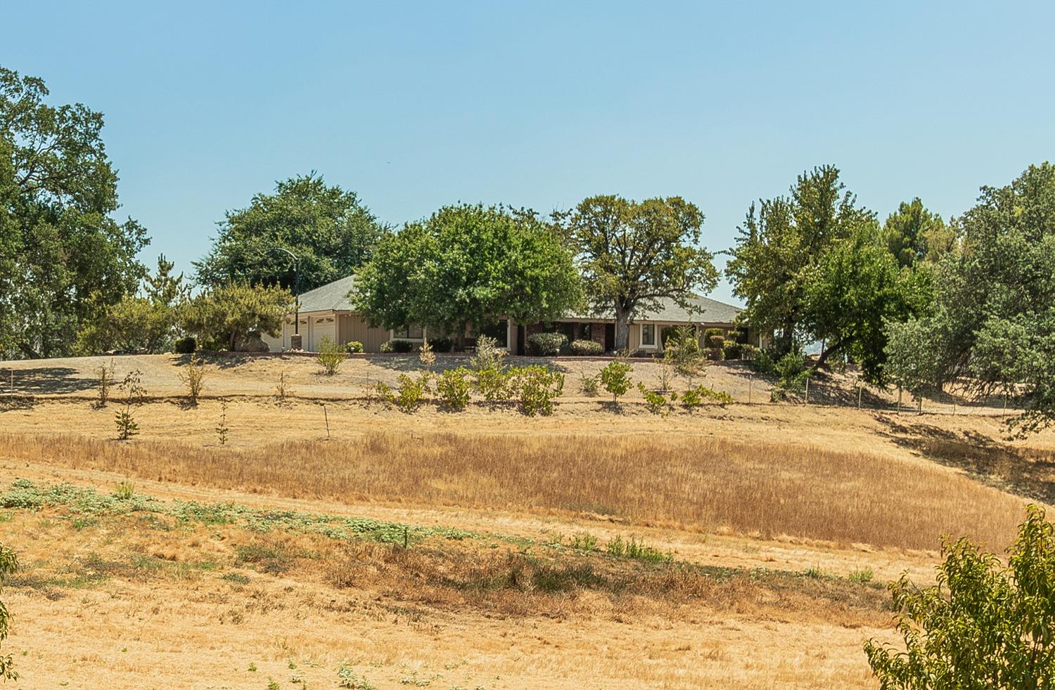 a view of yard with swimming pool and trees
