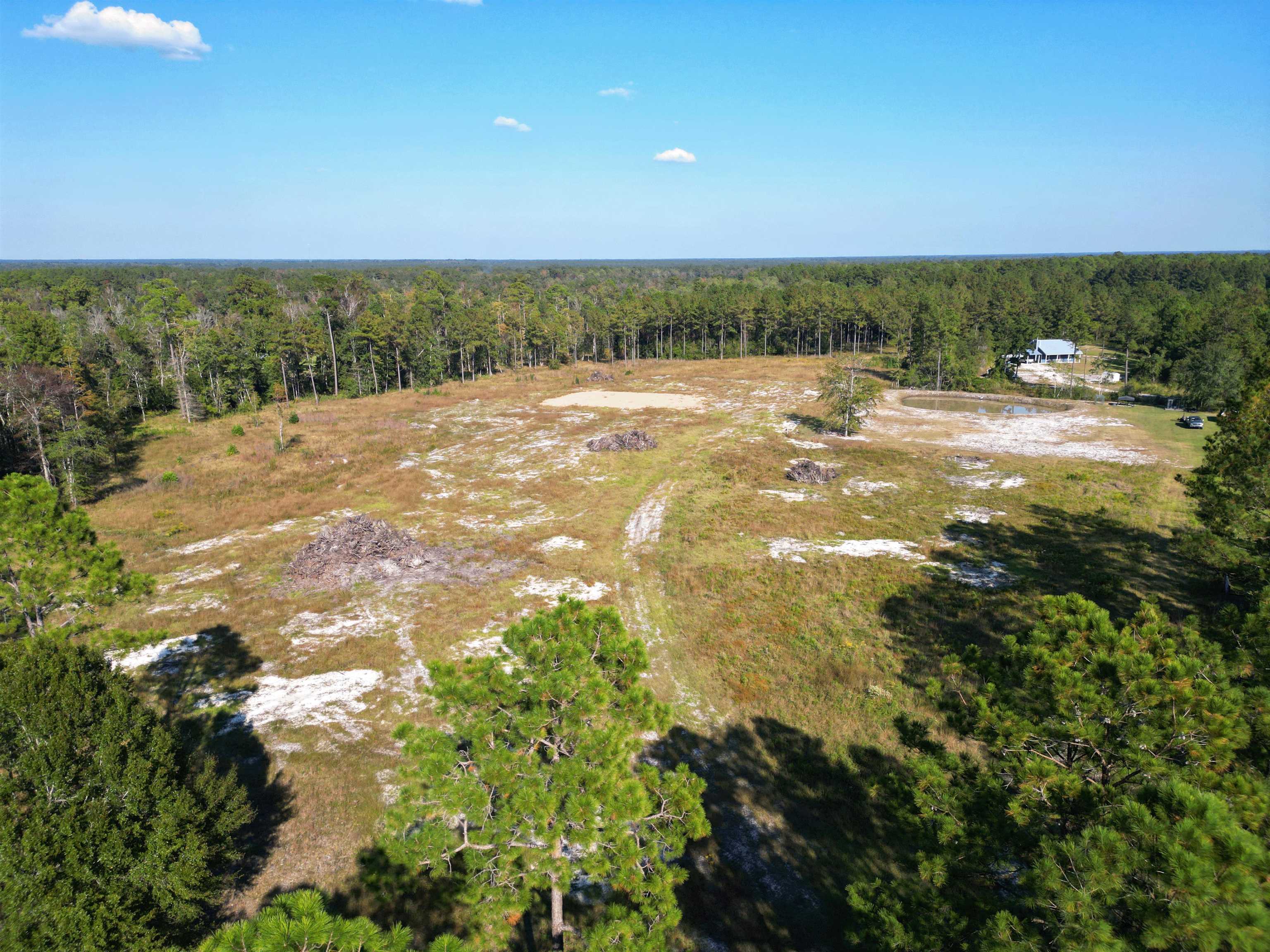17752 Arnold Kelly Road Hosford, FL 32334 - Photo 2 of 12