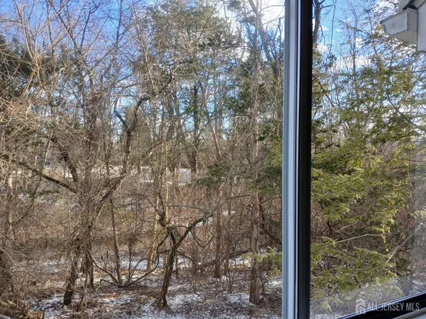 a view of a forest from a window