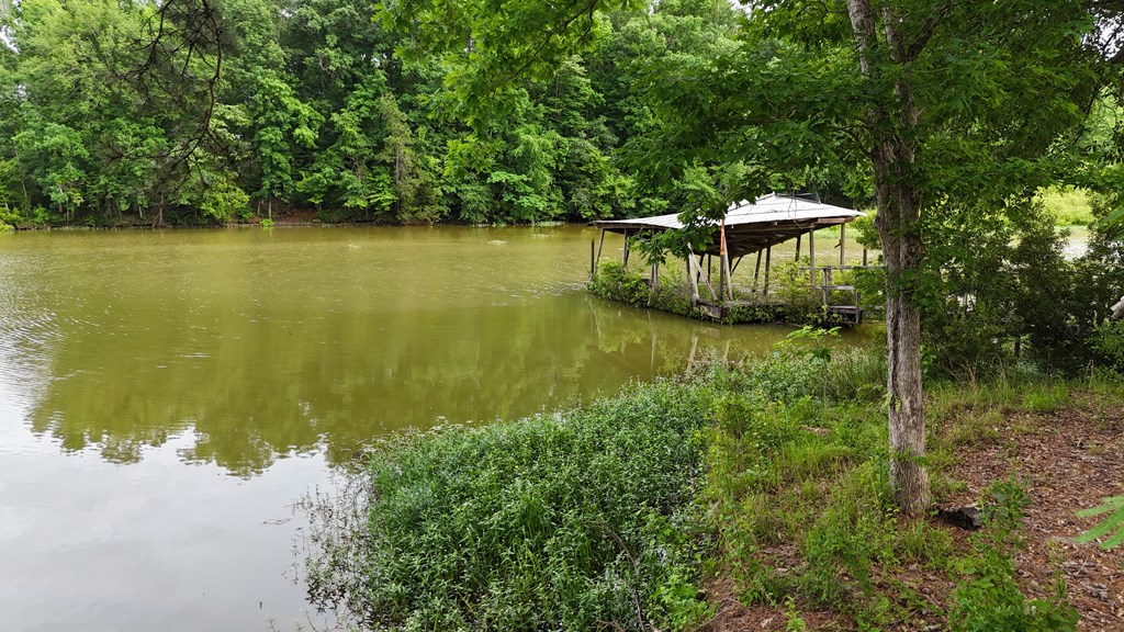 0 Hudspeth Drive Abbeville, AL 36310 - Photo 14 of 15
