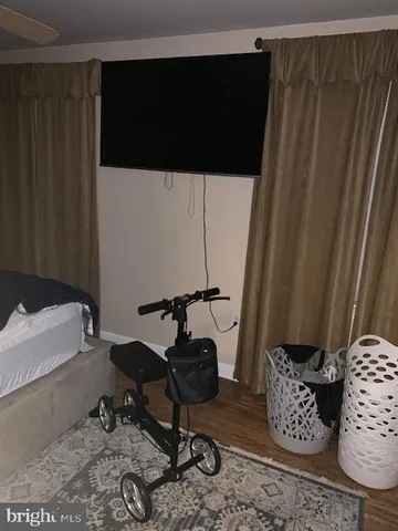 a living room with a couch and a potted plant