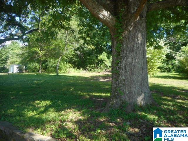 530 Mountain Road Springville, AL 35146 - Photo 12 of 12