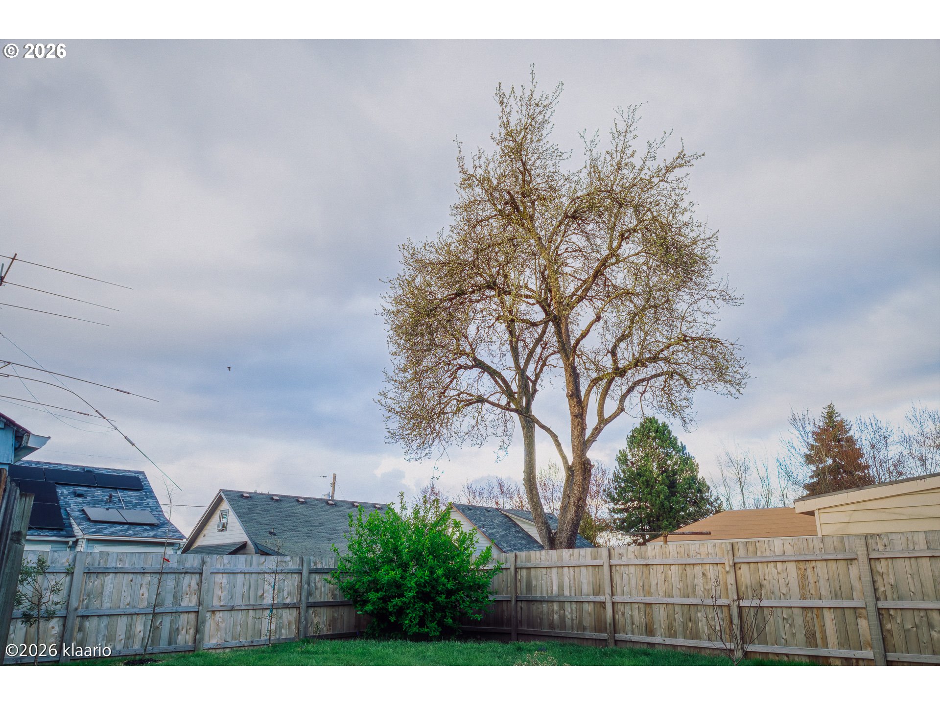 1253 North Baldwin Street Portland, OR 97217 - Photo 30 of 30 a view of outdoor space and yard