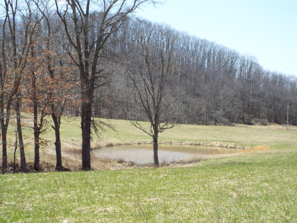 897 Run Road Alderson, WV 24910 - Photo 26 of 32 Gallery Image 26
