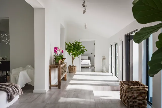 a living room with furniture and a potted plant