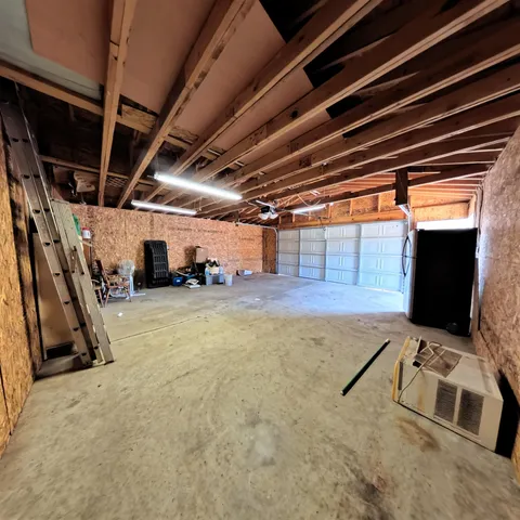 a view of a large trees with lots of trees