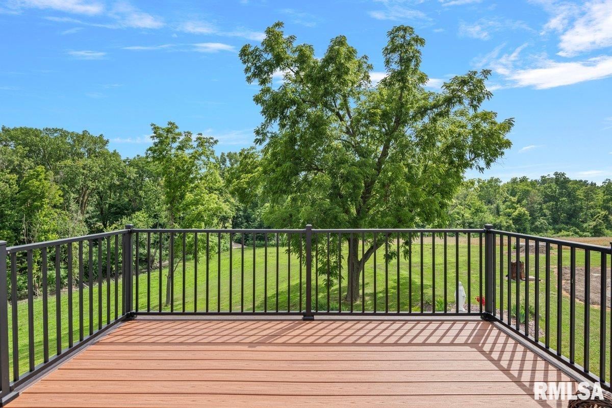 6813 Wesley Chapel Road Chatham, IL 62629 - Photo 9 of 39