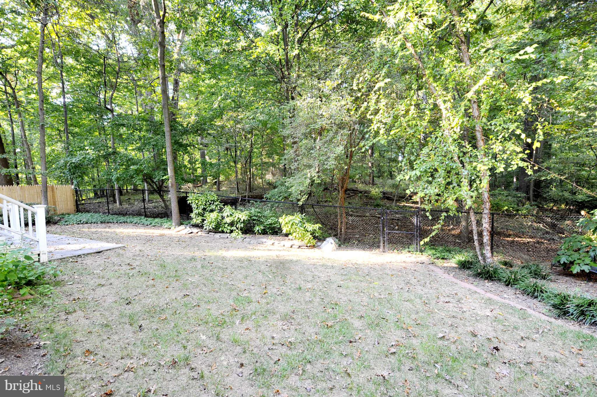 2135 Yorktown Road Northwest Washington, DC 20012 - Photo 13 of 30 Back Yard & Rock Creek Park