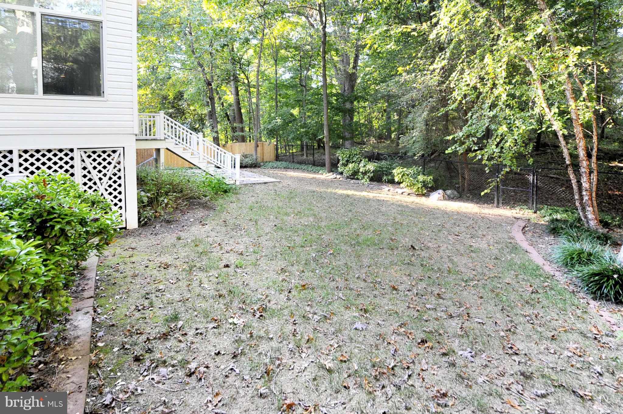 2135 Yorktown Road Northwest Washington, DC 20012 - Photo 14 of 30 Back Yard & Rock Creek Park
