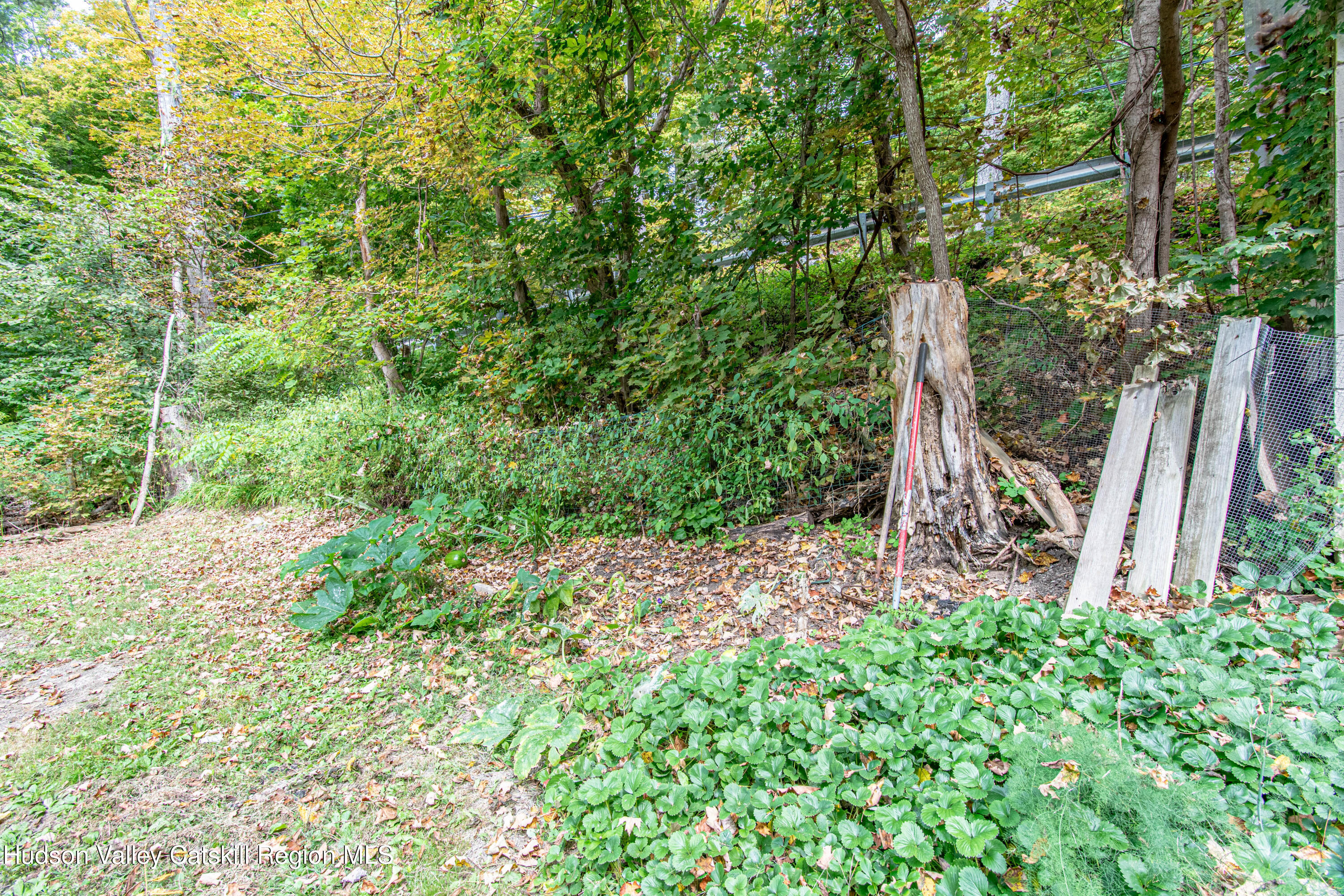 233 Rossway Road Pleasant Valley, NY 12569 - Photo 18 of 22 a view of a backyard with plants and large trees