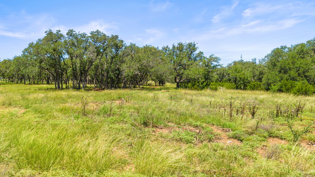 674 Windmill Ridge Drive Blanco, TX 78606 - Photo 11 of 13 a yard with trees in the background