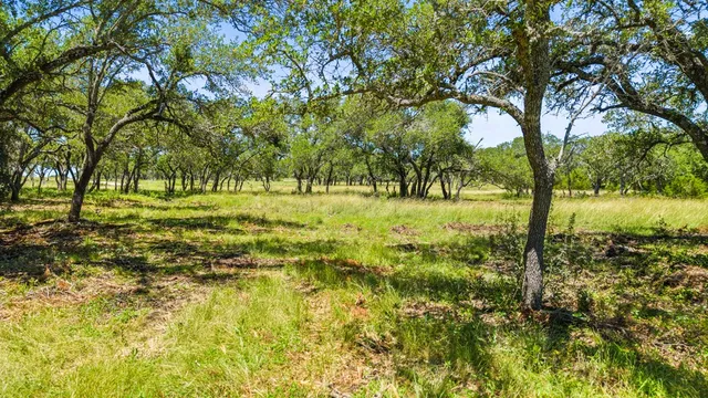 $1,359,500 | 674 Windmill Ridge Drive, Blanco, TX 78606