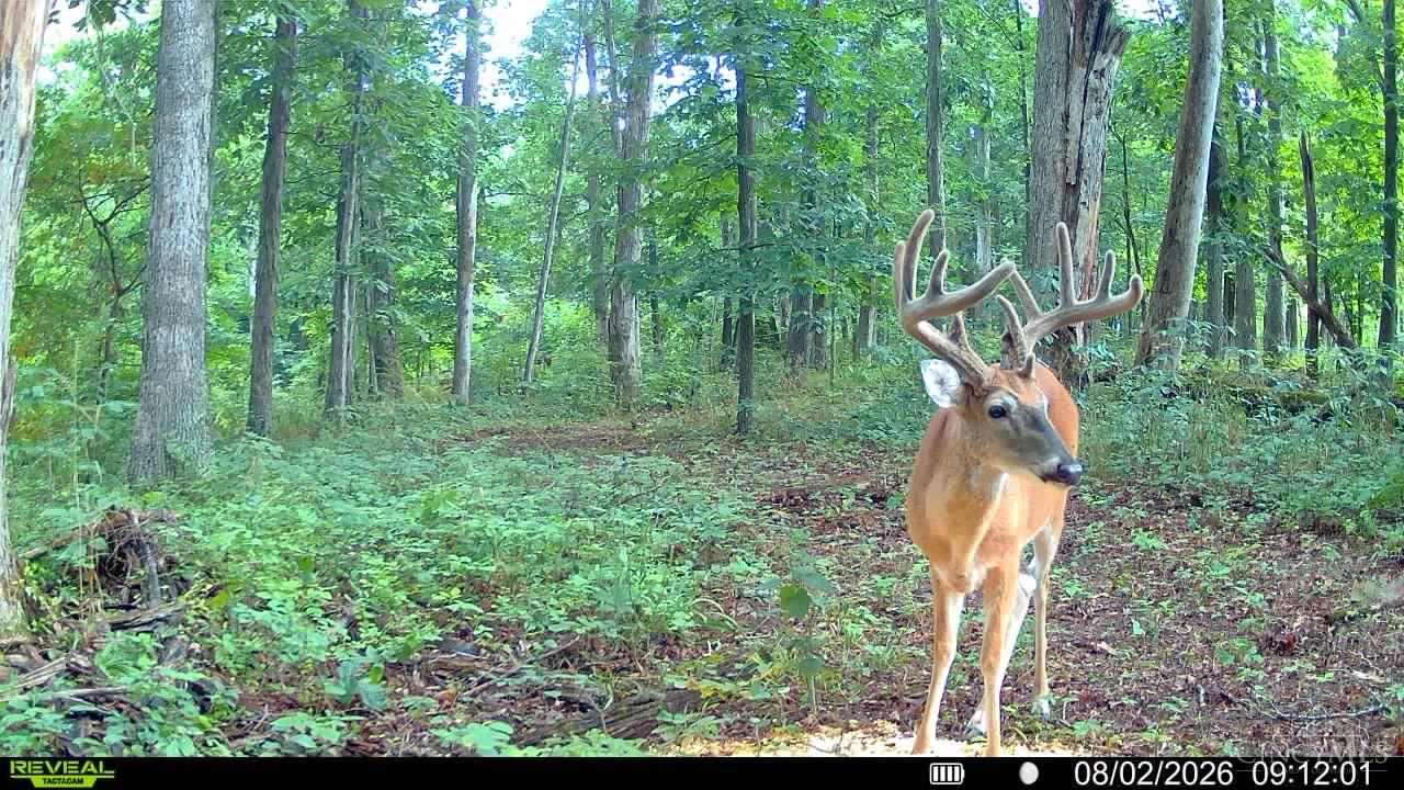4051 State Rte 41 Manchester, OH 45144 - Photo 39 of 40 Gallery Image 39
