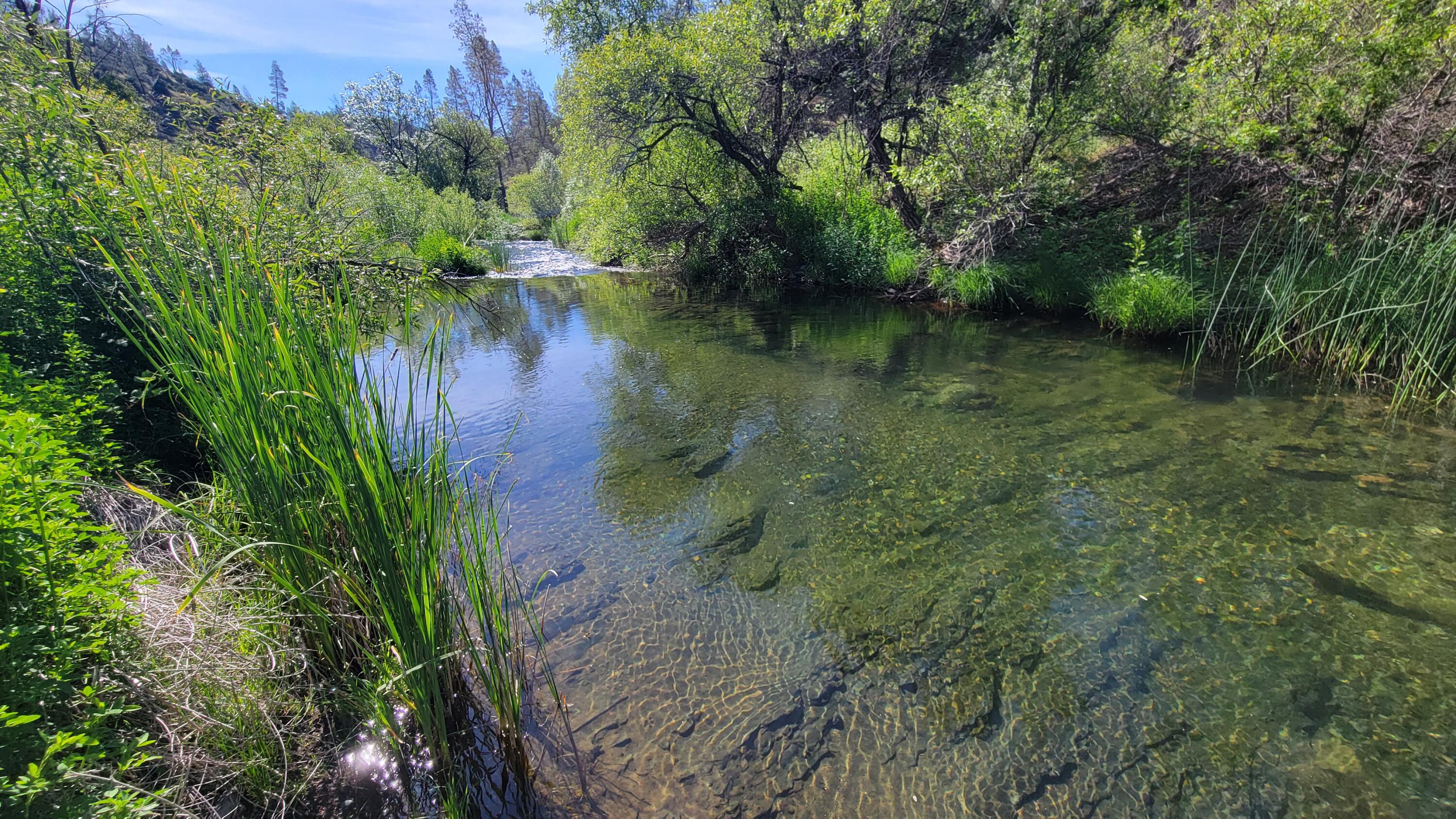 Lot 229 Yolla Bolly Road Igo, CA 96047 - Photo 15 of 66 20260510_094924