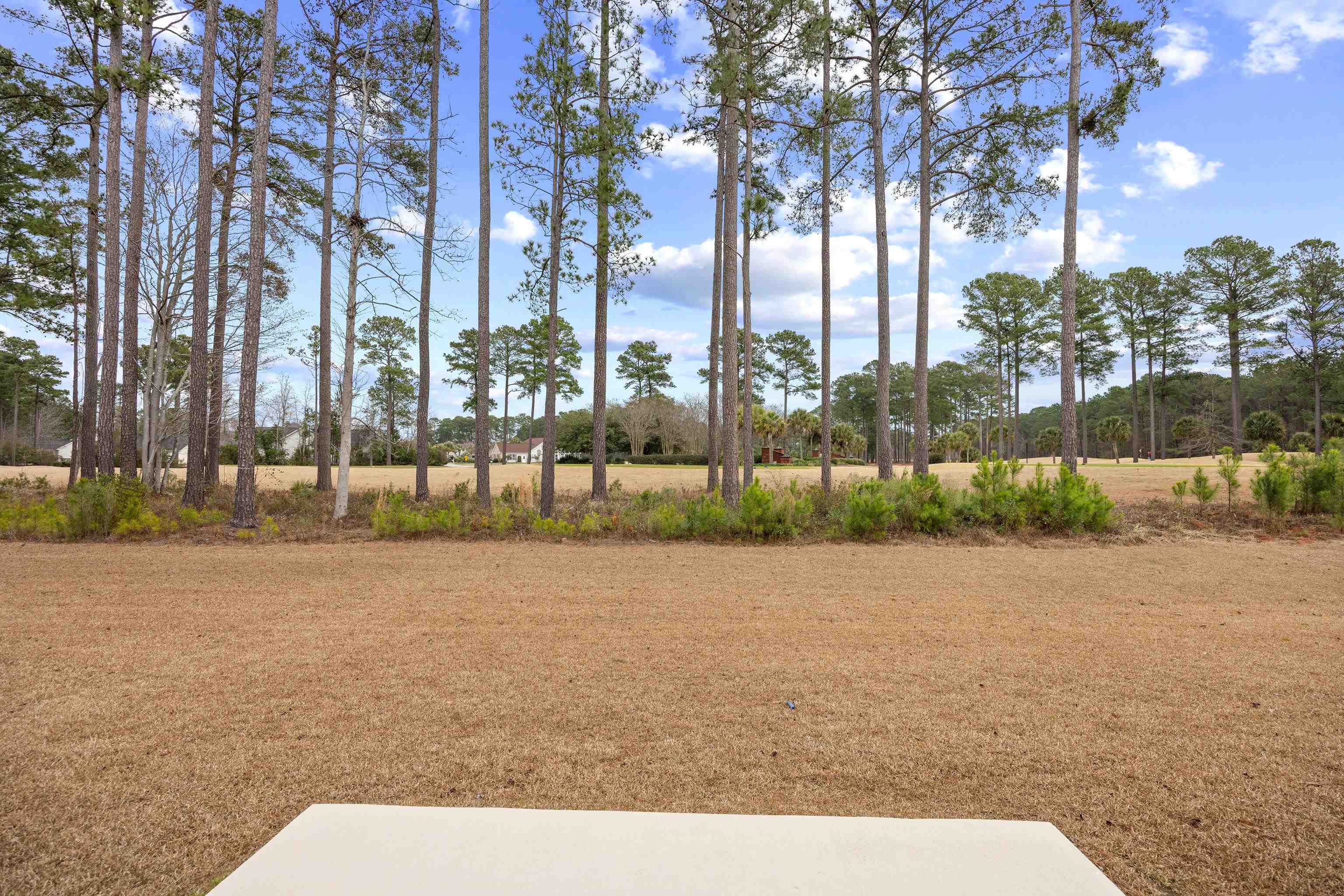 530 Beckham Court Murrells Inlet, SC 29576 - Photo 33 of 47