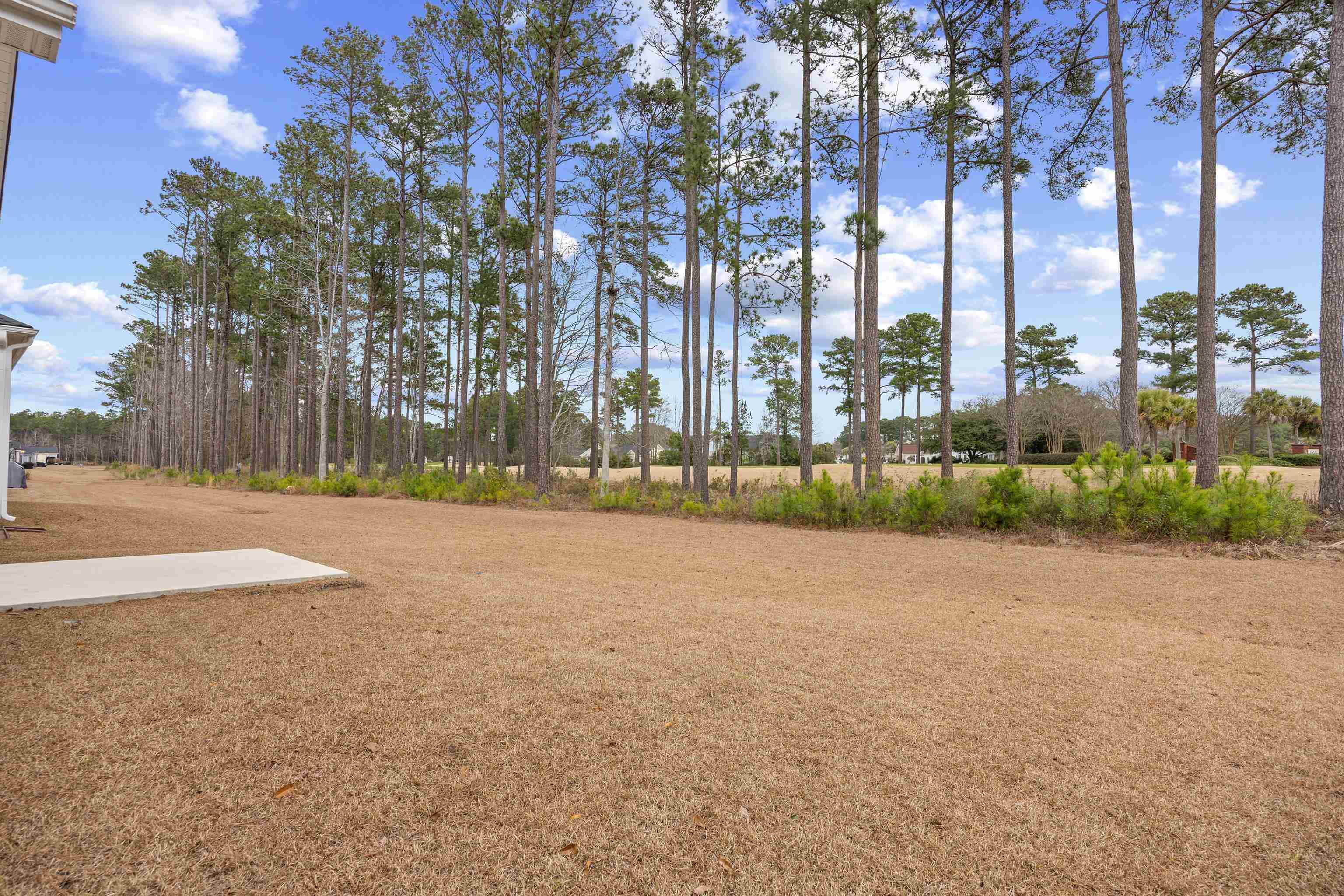 530 Beckham Court Murrells Inlet, SC 29576 - Photo 34 of 47