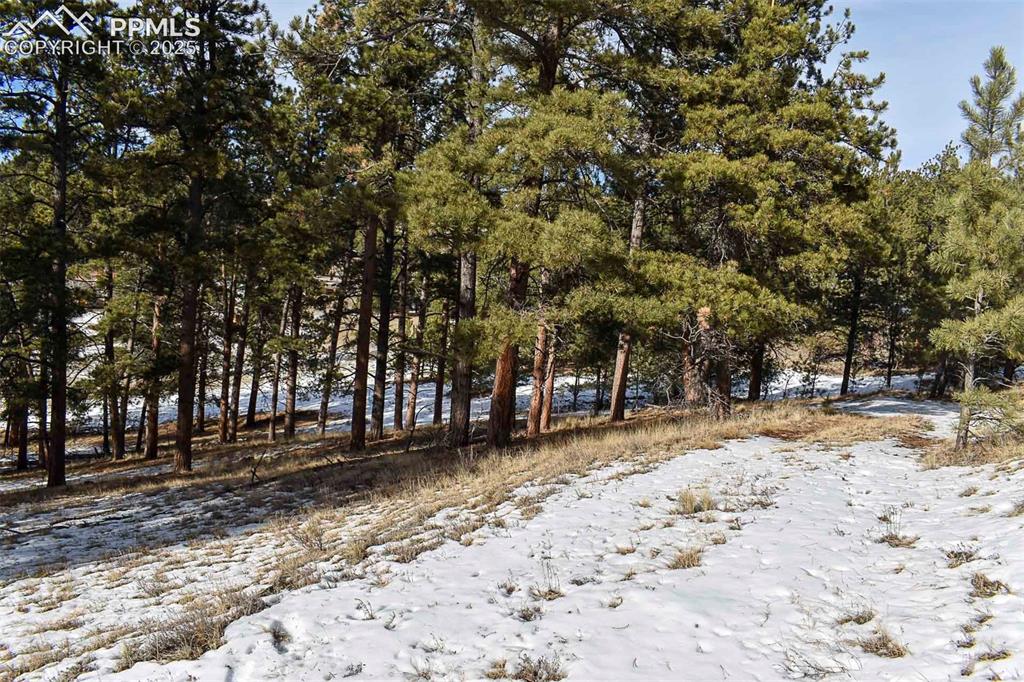 6th Street Guffey, CO 80820 - Photo 22 of 28
