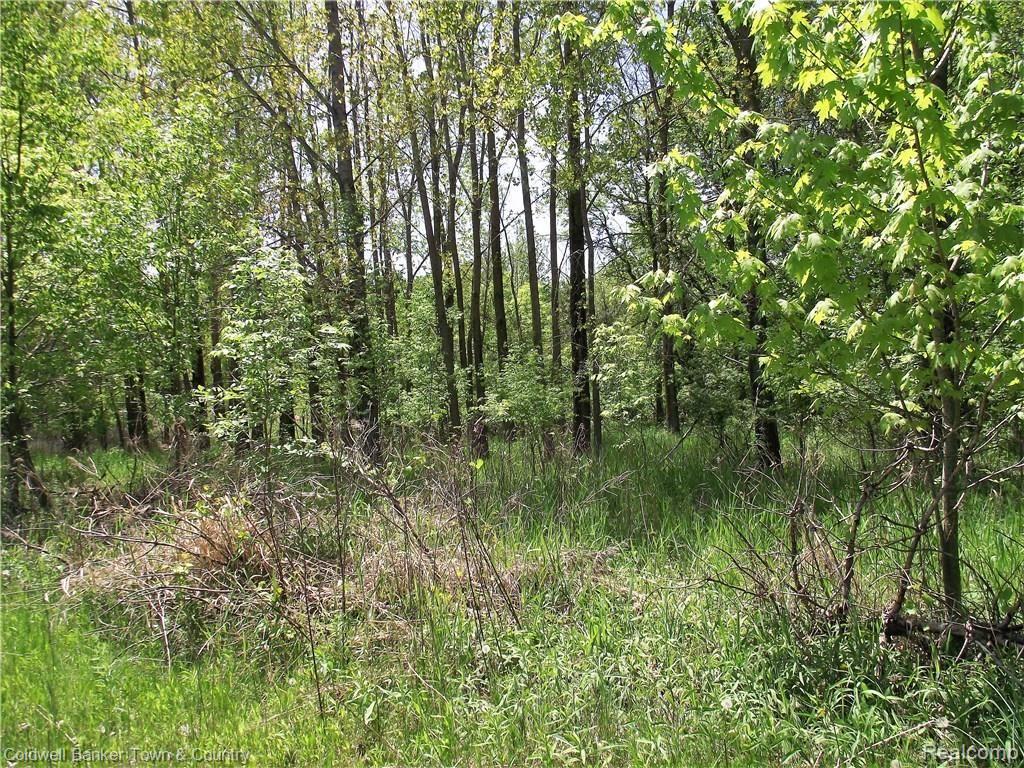11269 Judd Road Fowlerville, MI 48836 - Photo 20 of 32 DSCF8202.JPG