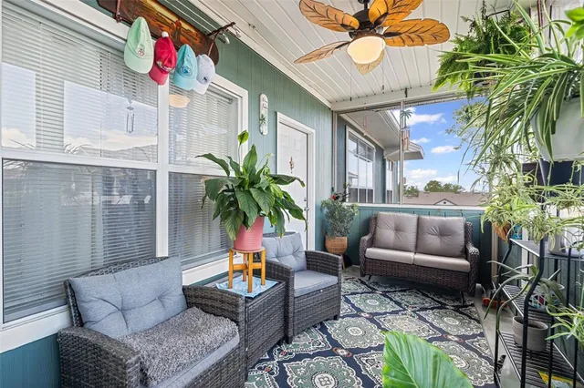 a view of a patio with couches and a potted plant