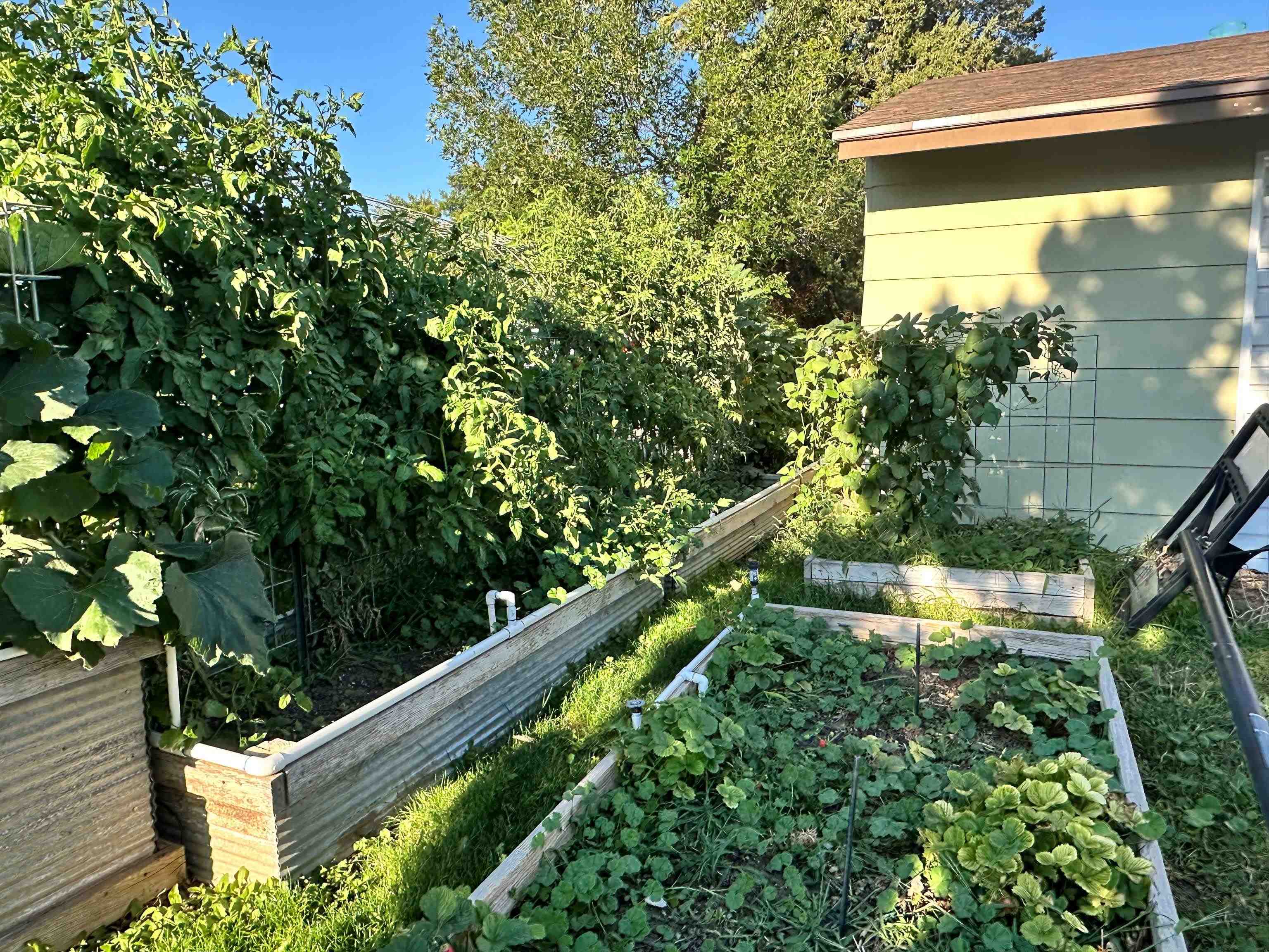 1456 Maple Street Wheatland, WY 82201 - Photo 34 of 48