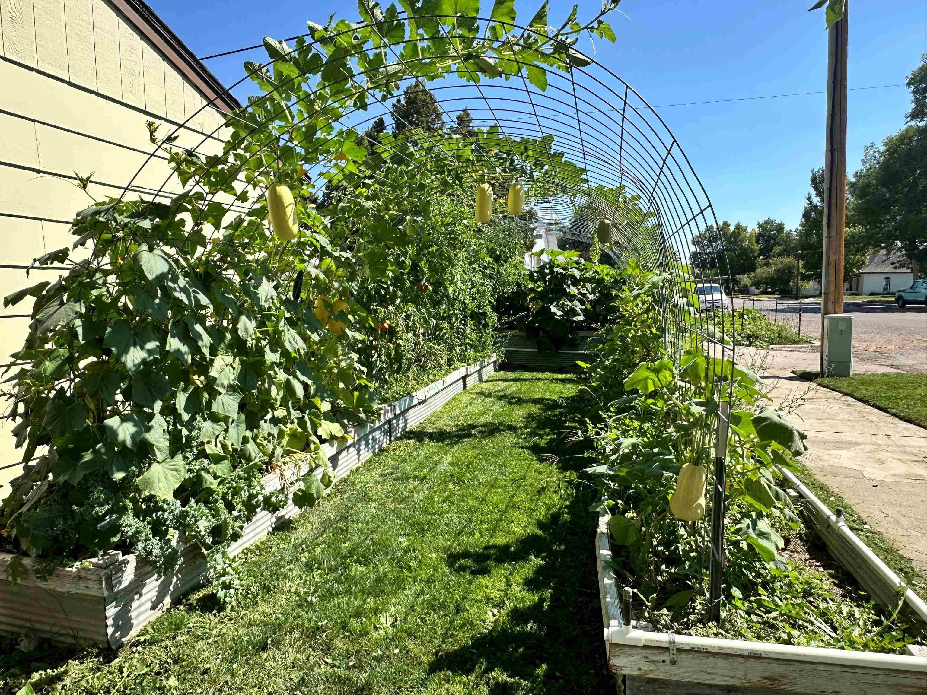 1456 Maple Street Wheatland, WY 82201 - Photo 35 of 48