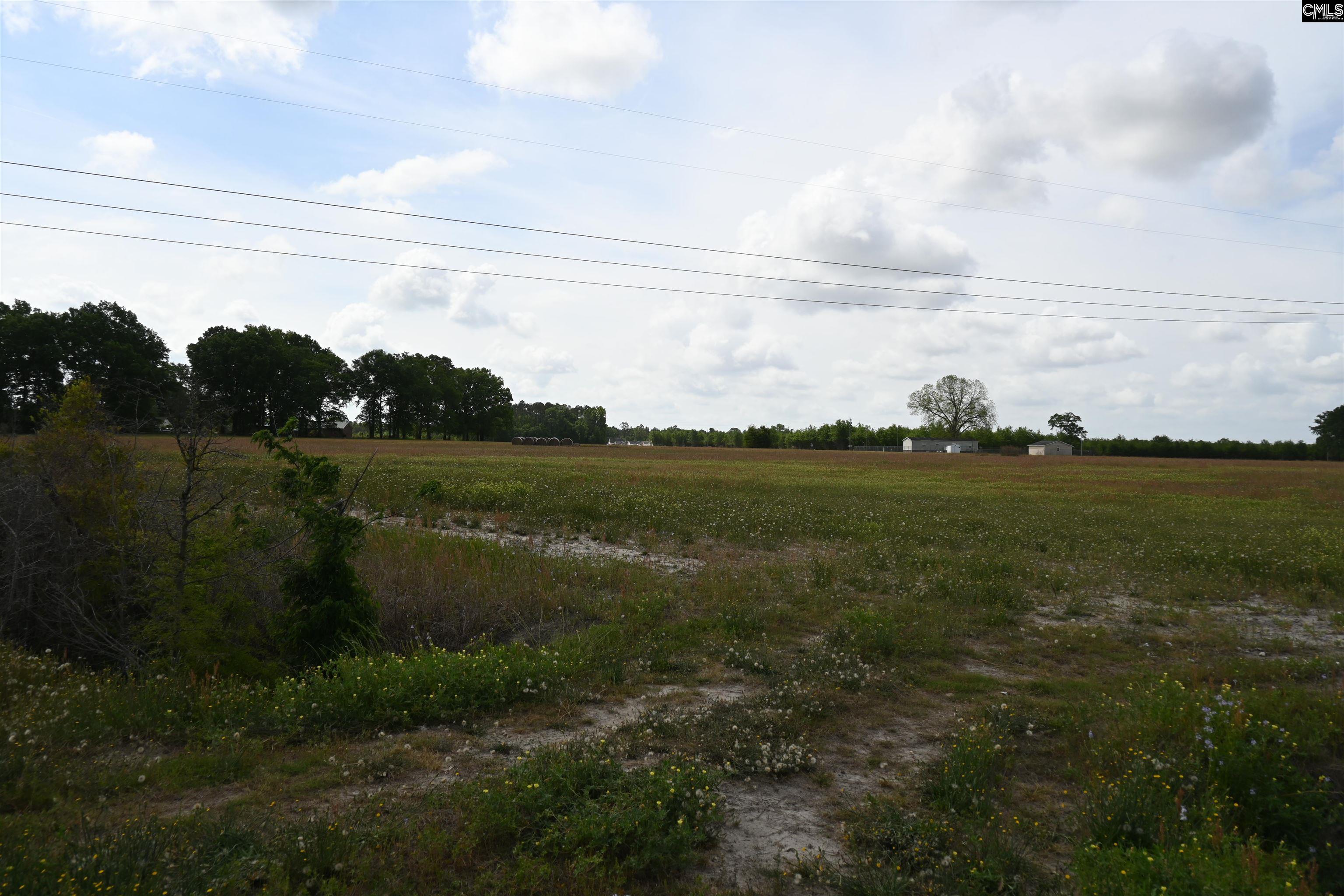 Tbd Gallowaytown Road Hartsville, SC 29550 - Photo 23 of 34