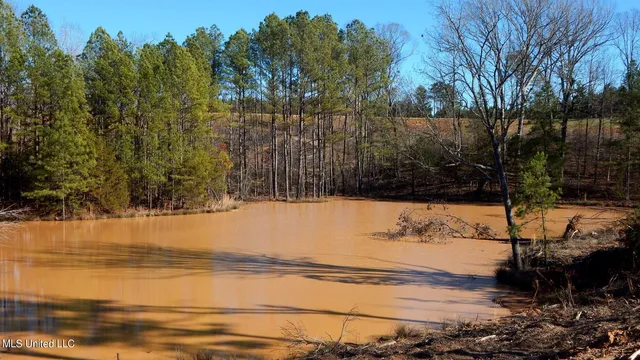 $75,000 | 732 Graysport Crossing Road, Gore Springs, MS 38929