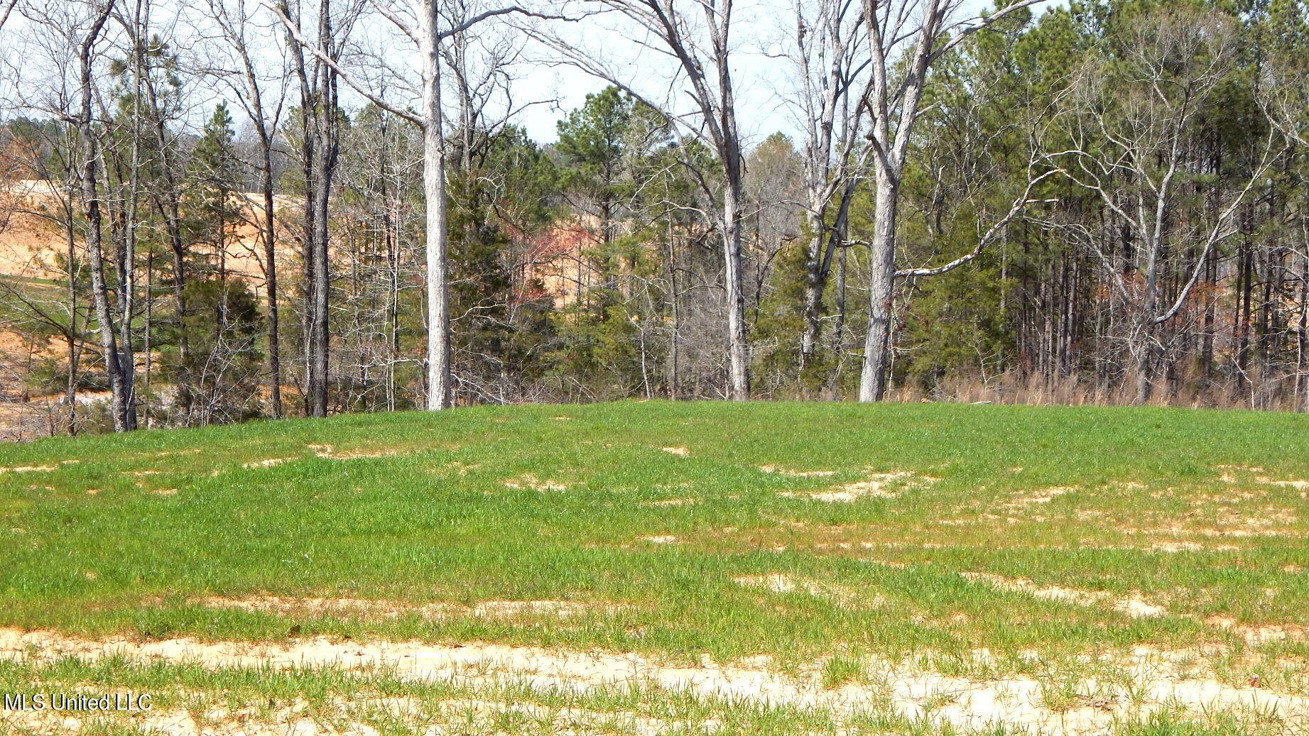 732 Graysport Crossing Road Gore Springs, MS 38929 - Photo 11 of 18 DSCN5012