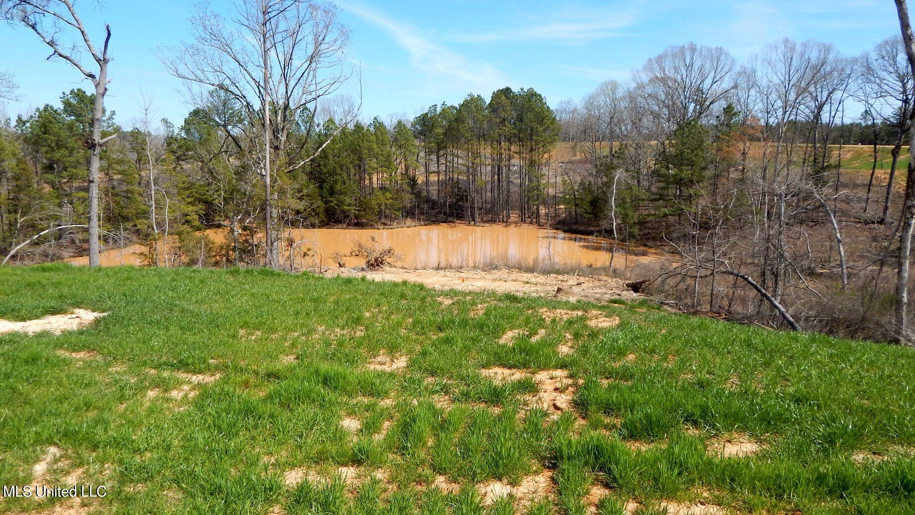 732 Graysport Crossing Road Gore Springs, MS 38929 - Photo 2 of 18 DSCN5003