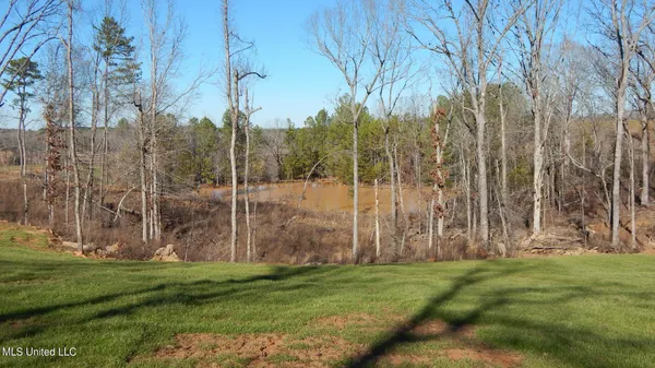 $75,000 | 732 Graysport Crossing Road, Gore Springs, MS 38929