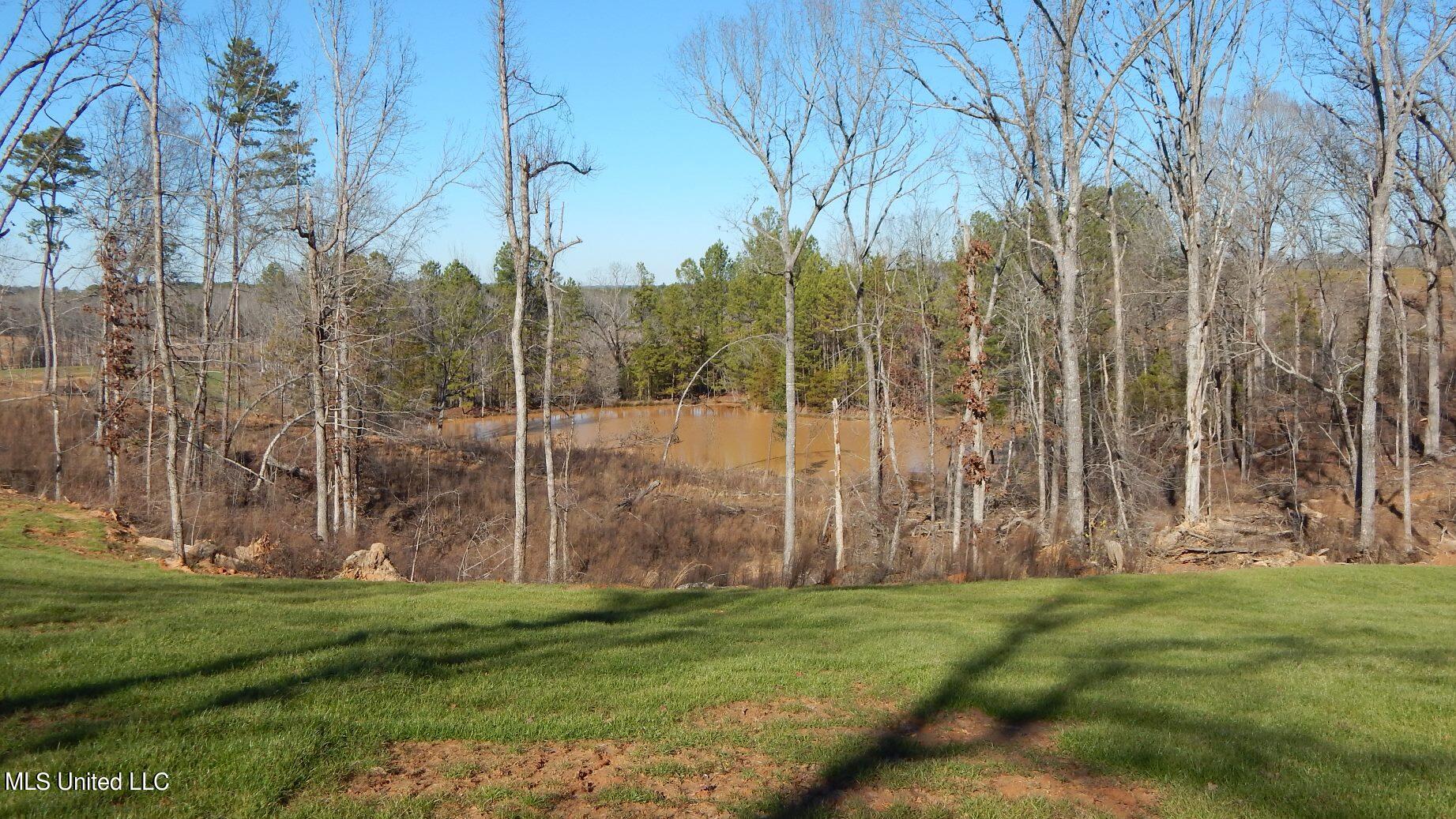 732 Graysport Crossing Road Gore Springs, MS 38929 - Photo 3 of 18 DSCN4689