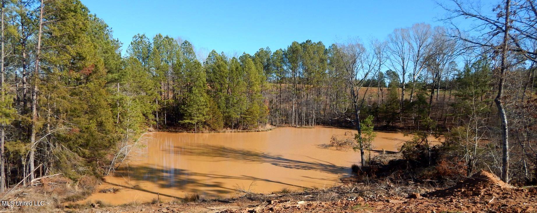 732 Graysport Crossing Road Gore Springs, MS 38929 - Photo 4 of 18 DSCN4684
