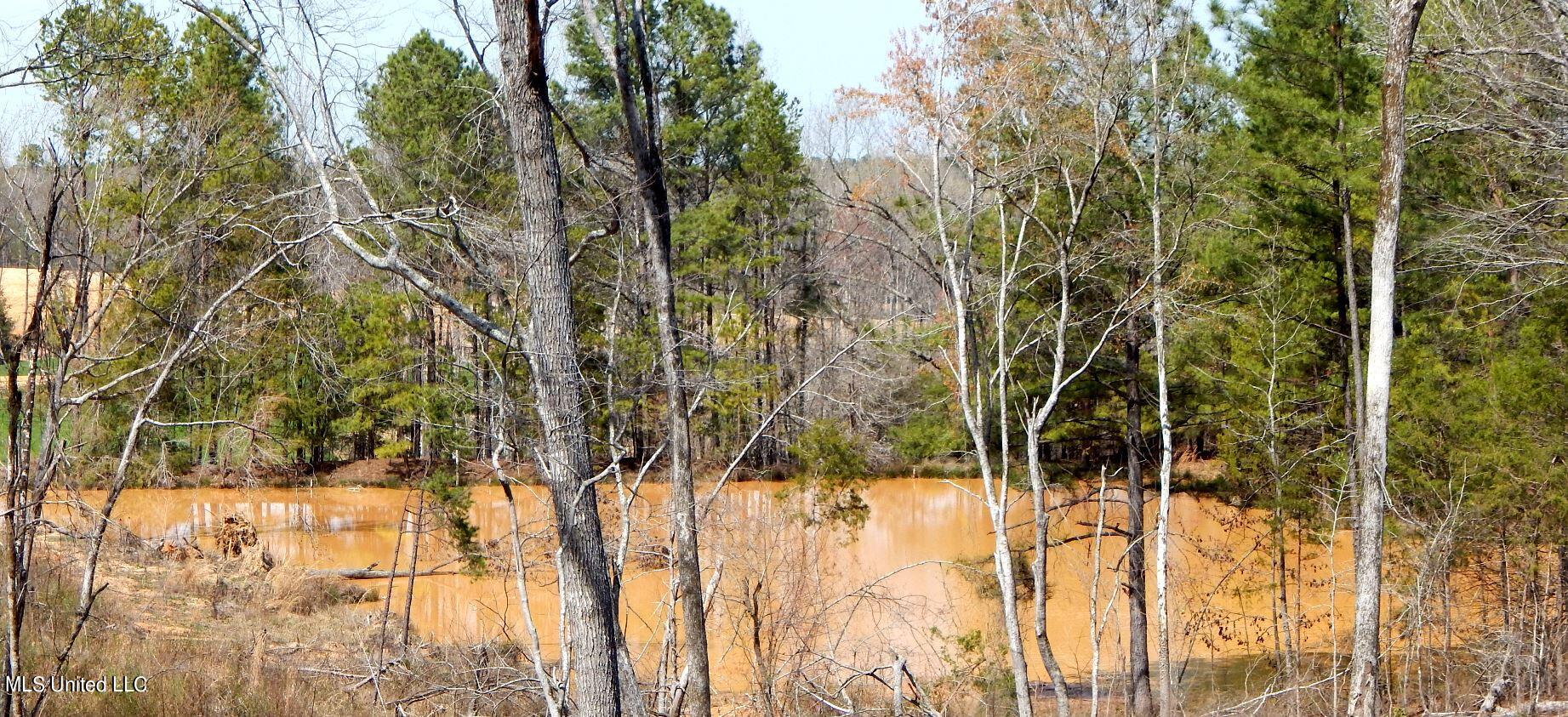 732 Graysport Crossing Road Gore Springs, MS 38929 - Photo 5 of 18 DSCN5009
