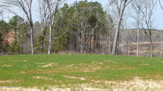 $75,000 | 732 Graysport Crossing Road, Gore Springs, MS 38929