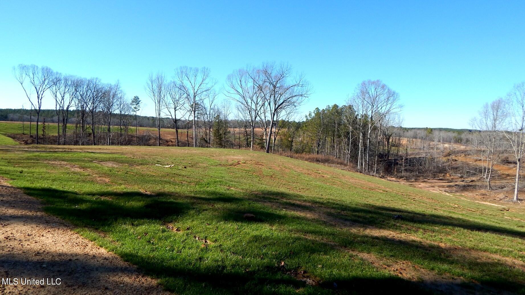 732 Graysport Crossing Road Gore Springs, MS 38929 - Photo 7 of 18 DSCN4693