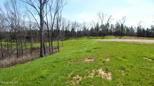 $75,000 | 732 Graysport Crossing Road, Gore Springs, MS 38929