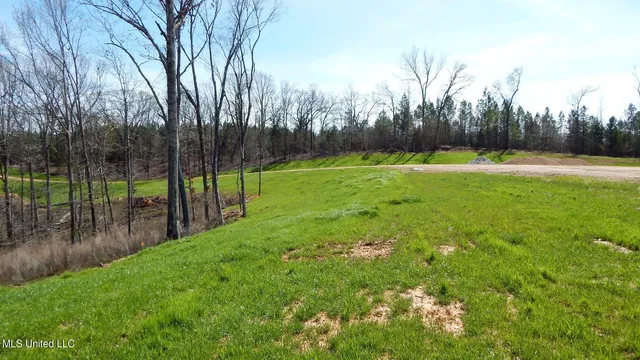 $75,000 | 732 Graysport Crossing Road, Gore Springs, MS 38929