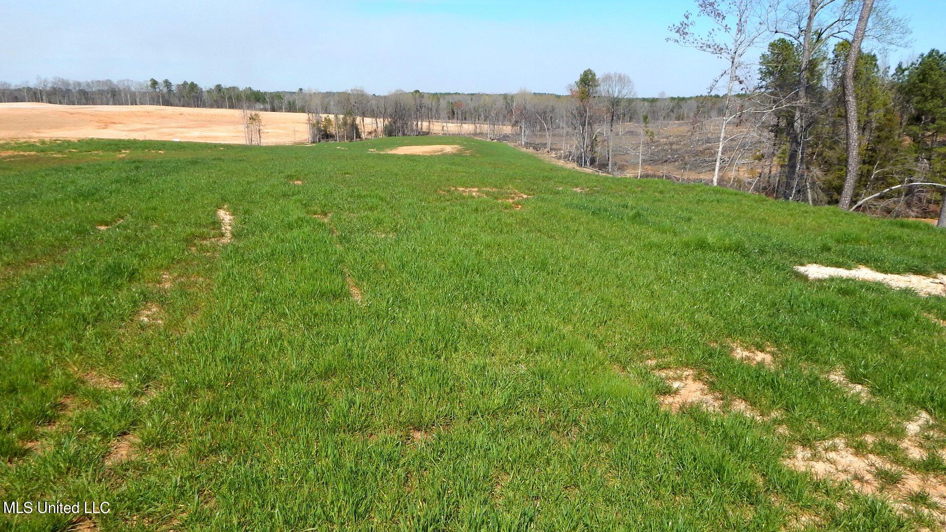 732 Graysport Crossing Road Gore Springs, MS 38929 - Photo 10 of 18 DSCN5004