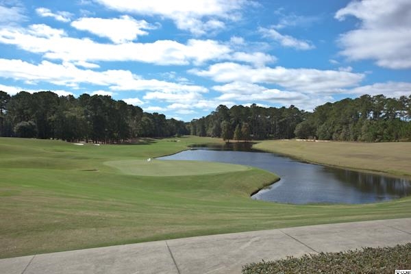 430 Valhalla Lane Murrells Inlet, SC 29576 - Photo 25 of 25