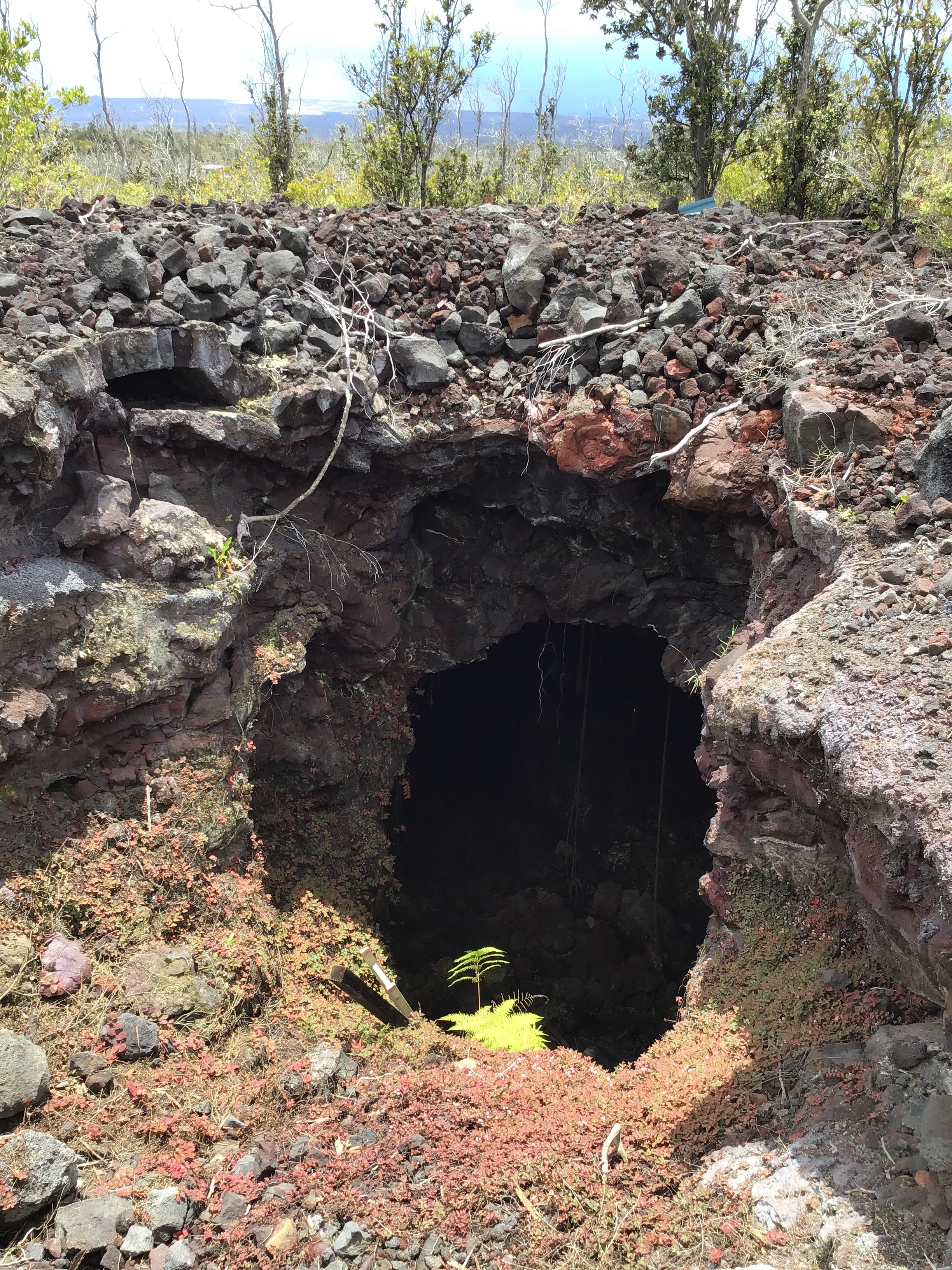 92-2584 Lot 7 Sea View Drive Ocean View, HI 96704 - Photo 2 of 10 a view of outdoor space